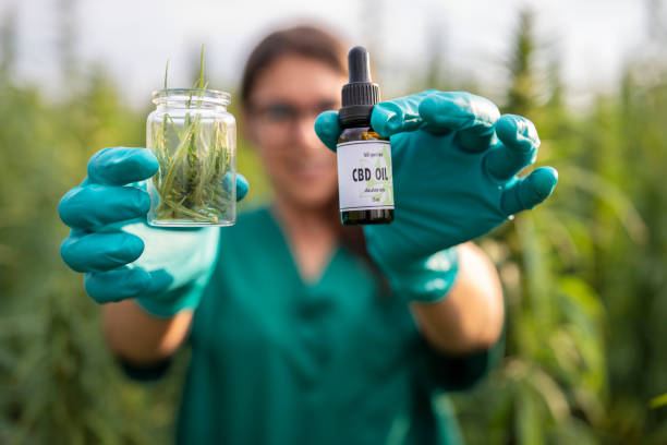 Medical cannabis in medicine